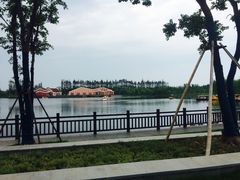 -上海长兴岛郊野公园