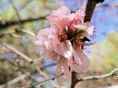 -朝阳公园