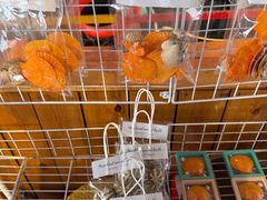 -蓝湾碧波·老字号·疍家非遗海上餐厅