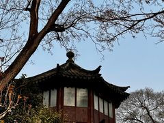 -拙政园