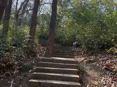 -九曜山