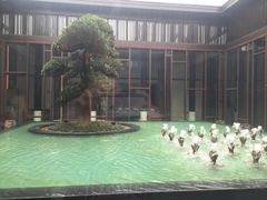 -上海崇明金茂凯悦酒店