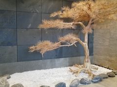 -御泉湾养生汤泉