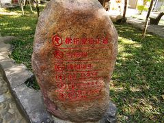 -瑞丽独树成林风景区