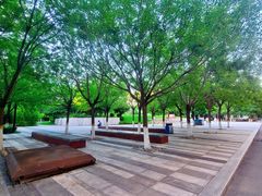-北京化工大学(东校区)