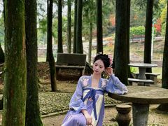 -玉苍山国家森林公园