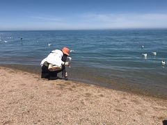 -青海湖国家重点风景名胜区