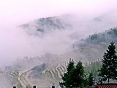 -紫鹊界梯田景区