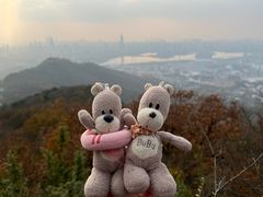 -紫金山山顶公园
