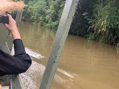 -热带雨林自然公园