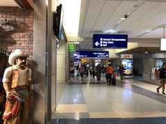 -达拉斯 沃斯堡国际机场