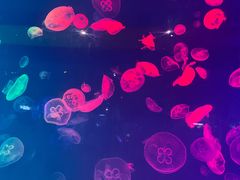 -华夏文旅西安度假区