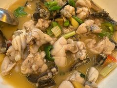 -食德喜·阳山鸡王食研基地