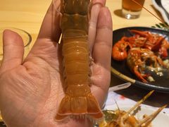 -贵木日本料理·铁板烧(新地假日广场店)