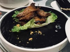 -复旦大学本部-食堂