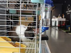 -UltraForce超源健身私教工作室(长楹天街精品店)