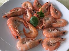 生灼海中虾-旺富东海大酒楼(海鲜街店)