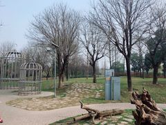 -洨河生态公园