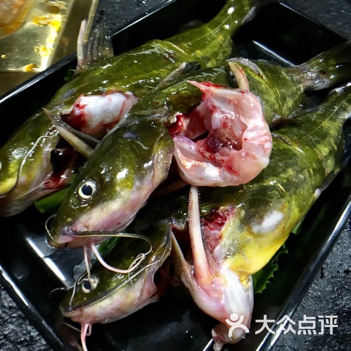 鱼闻乐火山石烫鱼火锅(紫薇花园店)昂刺鱼图片 - 第1张