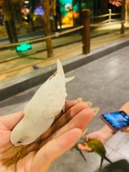 -酷嗒动物文化乐园(cutezoo西溪乐天城店)