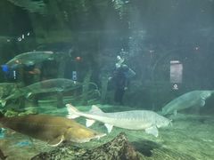 -华夏文旅海洋公园