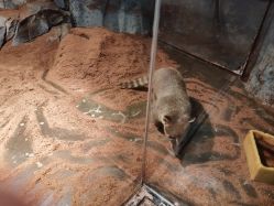 -Zoolung Zoolung动物主题公园(海信广场店)