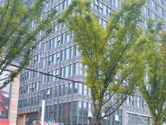 -金锅小厨(乐活街店)