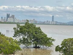 -深圳湾公园(南山区)