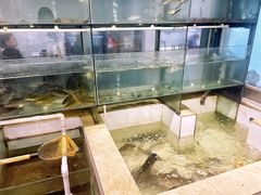 -小乡小镇·传承桐庐土菜·老板亲自烧的菜