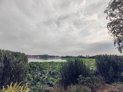 -云龙湖旅游景区