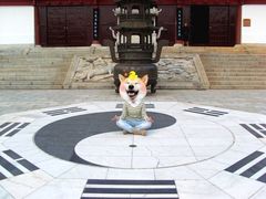 -江西龙虎山景区
