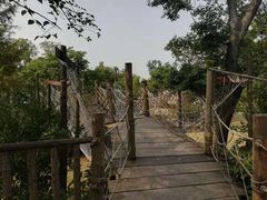 -田园东方蜜桃村的田野营地