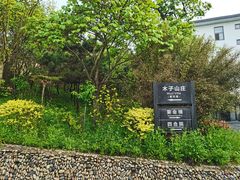 -木子山庄·安徽省老字号·中国炖锅宴