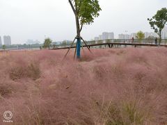 -汉江湾体育公园