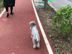 -洨河生态公园