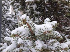 -马记伊源斋涮肉·清真菜(潘家园古玩市场店)