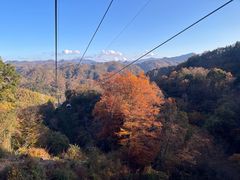 -光雾山旅游景区