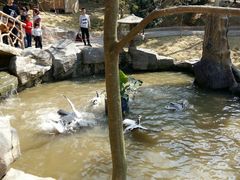 -泉州海丝野生动物世界