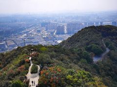 -杭州半山国家森林公园