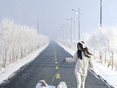 -雾凇岛