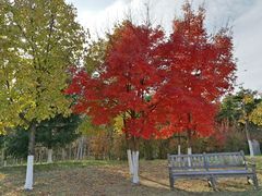 -长春世界雕塑园冰雪艺术天地