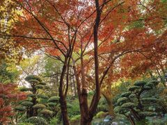 -中山公园