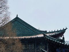 -真庆观