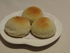 雪顶雄峰-利苑酒家(金宝店)