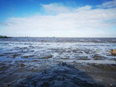 -启东黄金海滩景区