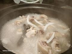 椰子鸡-同仁四季椰子鸡(海岸城天利店)