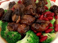 红腰豆海参煲-深运潮州粥(水库店)
