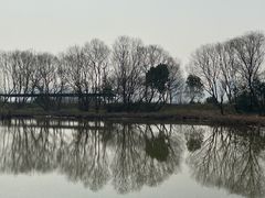 -西湖风景区-江洋畈生态公园