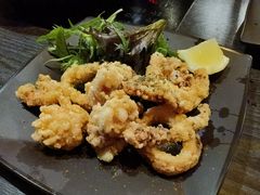 炸鱿鱼卷-Wagaya Melbourne