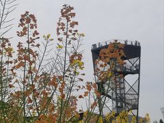 -中国天府农业博览园